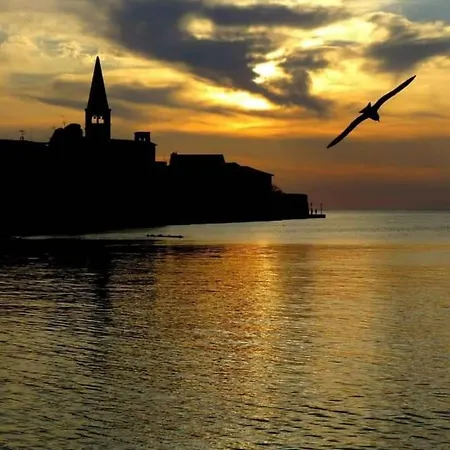 Apartman Pinezic Apartment Porec